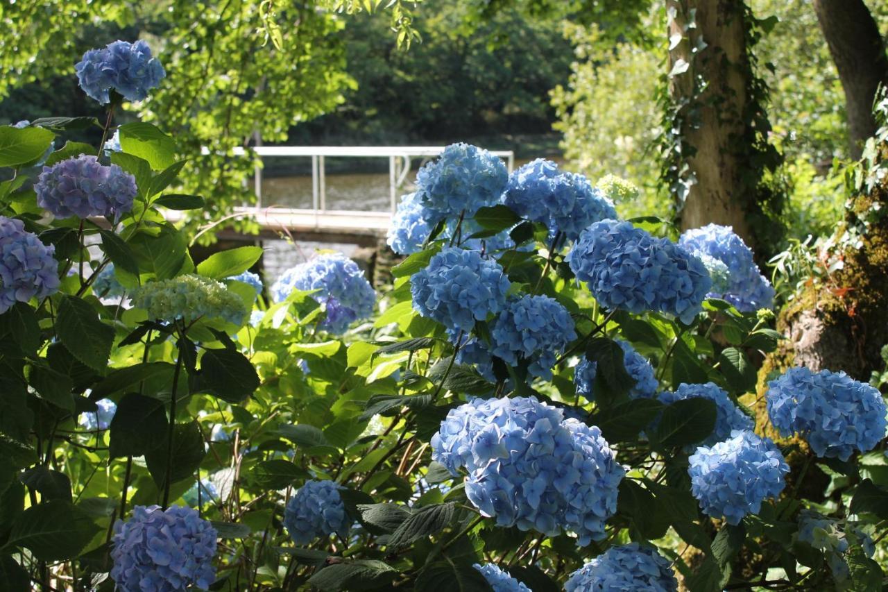 Innishannon House Hotel Zewnętrze zdjęcie